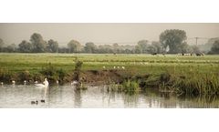Water Monitoring & Research in the Great Fen