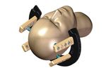 AtamA - Patient Transfer and Head Stabilization System for The MRI