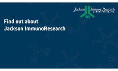 Find out about Jackson ImmunoResearch Secondary Antibodies - Video