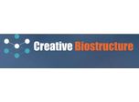 Creative Biostructure Unveils Negative Staining EM Platform for Structural Research