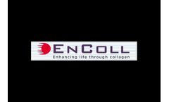 EnColl OsseoGraft - Model DMBM-XENOGRAF - Bone Void Filler