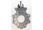 Lucky6s - High Pressure Butterfly Valve