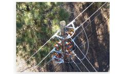 Soaring-Eagle - Distribution Pole & Line Inspections Services