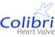Colibri Heart Valve LLC