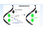 Using UV-C Light for Personal Airborne Pathogen Protection