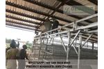 Automatic layer cage system