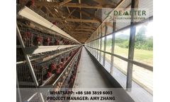 Affordable chicken cages in kenya