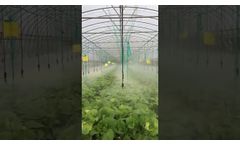 What kind of sprinkler should I choose in the greenhouse - Video