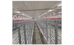 Lighting for Farrowing Shed - Case Study