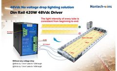2022 New Arrival: the Cost-Effective Poultry Lighting System you can`t Miss!
