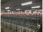 Effects of Lighting Technology on Pig Welfare and Performance