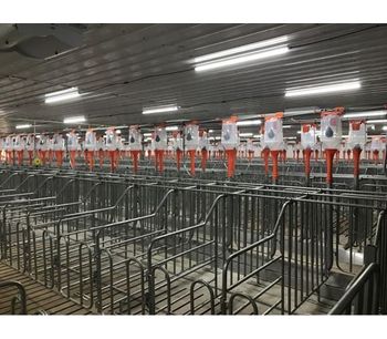 Effects of Lighting Technology on Pig Welfare and Performance