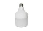 Hontech-Wins - Model HT-QPF10W (2700K-E27) - LED Bulb for Layer