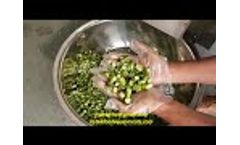 Lady Finger (Bhindi) Cutting Machine/Beans, Palak, Spinach, Dhaniya, Coriander, Okra Cutting Machine - Video