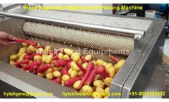Vegetable Washing Machine/Vegetable Washer/Vegetable Brush Washer/Carrot Washing Machine - Hytek - Video