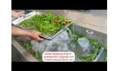 Leafy Vegetables And Fruits Washing Machine - Video
