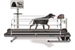 Zebris CanidGait - Treadmill System