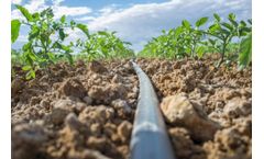 Idrica develops new technologies to optimize agricultural irrigation