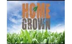 Home Grown - Video