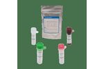 SARS-CoV-2 RT-PCR Test Kit
