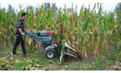 Corn reaper machine for maize harvesting - Video