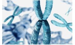 Antibody Discovery Services