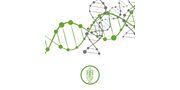 Bacterial DNA Isolation Single Step