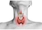 Quark - Model ThyroSCAN - Thyroid Nodule Diagnosis