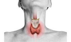 Quark - Model ThyroSCAN - Thyroid Nodule Diagnosis