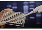 Real-Time PCR Kit