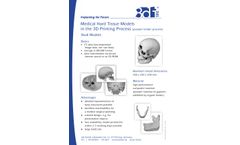 3di - Skull Hard Tissue Models - Brochure