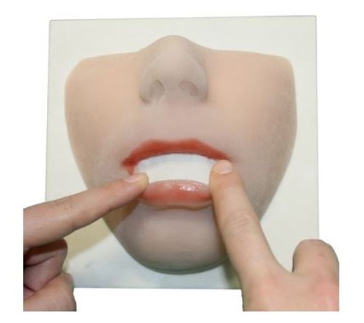 3di - Model Lip - Soft Tissue Model