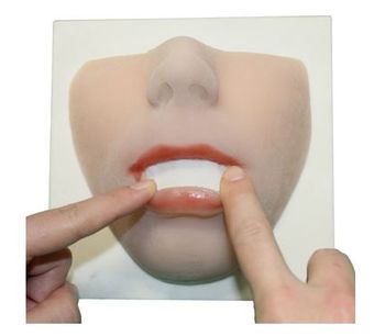 3di - Model Lip - Soft Tissue Model