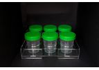 Model 100 ml - Sample Container with Screw on Lid