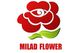 Milad Flower Company