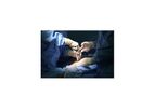 Sejong - Multi Ports Laparoscopic Surgery
