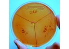 Microorganisms Remediation Services