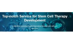 Mesenchymal Stem Cells (MSCs) Isolation and Expansion Services