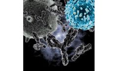 Immune Antibody Library Services