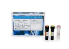 PowerChek - SARS-CoV-2 Real-time PCR Kit