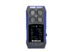 Bosean - Model BH-4S - Portable Multi-Gas Detector