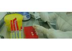 HiberGene - Model LAMP and RT-LAMP - Nucleic Acid Amplification Test (NAAT) Kit