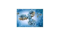 Antibody-Drug Conjugates (ADC)
