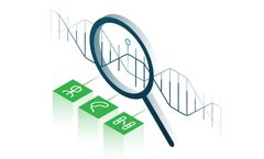 CRISPR-Based Detection Platform