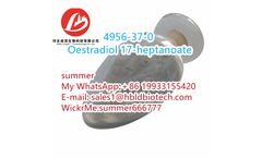 Estradiol Enanthate - Version 4956-37-0 - Oestradiol 17-Heptanoate Is Progestogen Estrogen CAS: 4956-37-0 Steroids