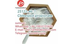 Clobetasol propionate - Model 25122-46-7 - Clobetasol propionate is a hormonal drug CAS:25122-46-7