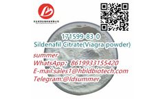Sildenafil Citrate - Sildenafil Citrate(Viagra Powder) CAS：171599-83-0