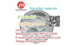 Estradiol valerate - Estradiol valerate progestogen estrogen CAS: 979-32-8