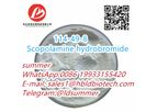 Scopolamin Hydrobromide - Version 114-49-8 - Scopolamine hydrobromide is an anticholinergic drug CAS:114-49-8