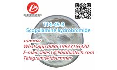 Scopolamin Hydrobromide - Version 114-49-8 - Scopolamine hydrobromide is an anticholinergic drug CAS:114-49-8